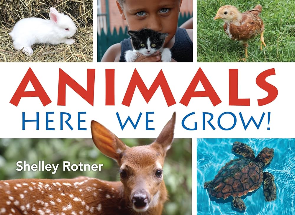 Book cover with pictures of baby animals. Text: Animals Here we Grow! Shelly Rotner